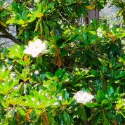 The Busy Bee Shop LLC Profile