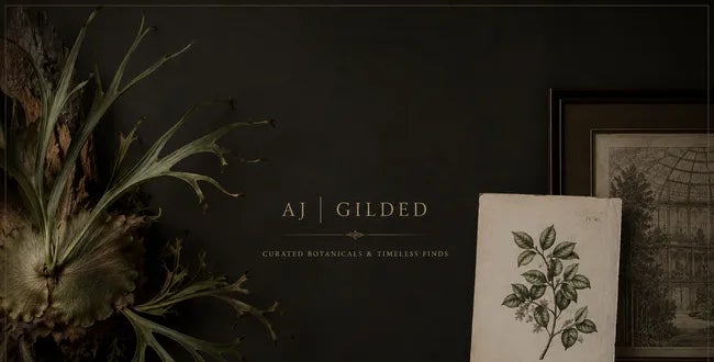Shop Banner