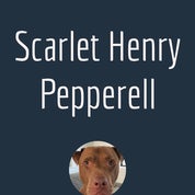 Scarlet Henry Pepperell Profile