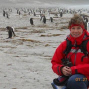 Nancy's Attic Profile