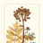 Antique Print Studio Avatar