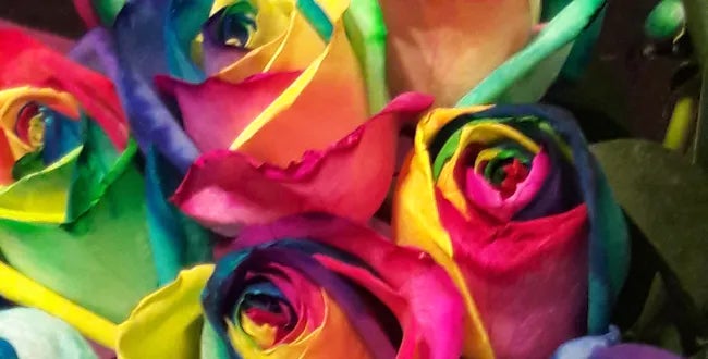 Shop Banner