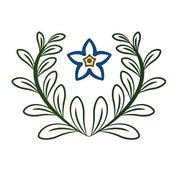 Wynn Yarrow, Art for Comfort Profile