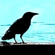 Satterlee Lane Profile