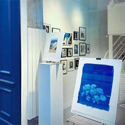 Alta Vista Arts Profile