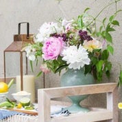 Montecito Treasures Profile