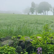 From the Hills Profile