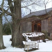 Green Island Antiques Profile