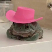 Lucky Lasso Photo Profile