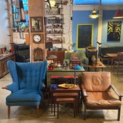 Tiger Oak Brooklyn Profile