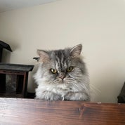 Savannah P. Profile