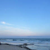 Blue dog treasures Profile