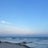 Blue dog treasures Avatar