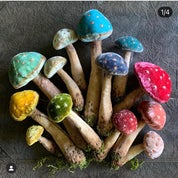 Julie Collings Profile