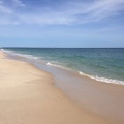 AdoreMidCentury Profile