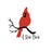 A Red Bird Avatar