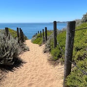 FINDS by Felix David Profile