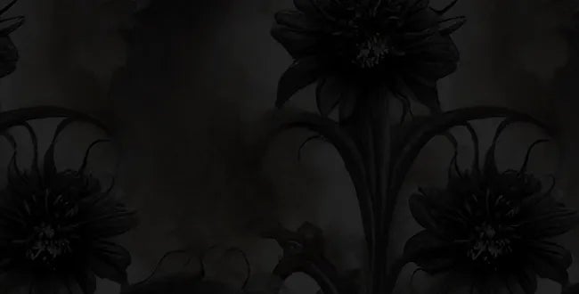 Shop Banner