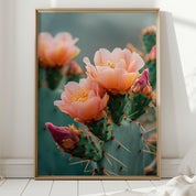 Boho Chic Love Profile