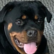 Century Boutique. Profile