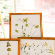 Elizabeth D. Profile