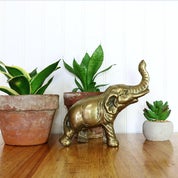 House of Ox and Rabbit Profile