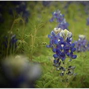 A Life Long Legacy Profile