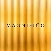 MagnifiCo Profile