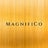 MagnifiCo Avatar