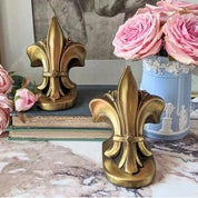 A Delicate Menagerie Profile