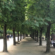 KR @ Pierre Nashville Profile