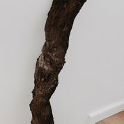 HamptonsArtStudio Profile