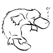 Platypus Interiors LLC Profile