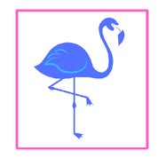 Blue Flamingo Designs Profile