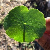 T.R.'s Emporium Profile