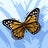 Emily'paigee T. Avatar