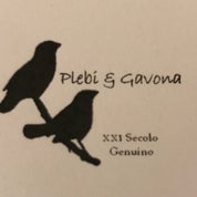 Plebi & Gavona Profile