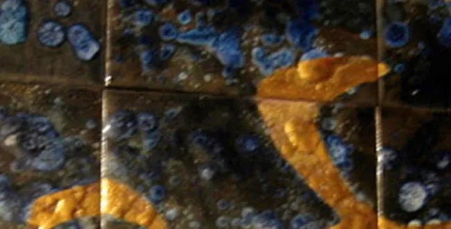 Shop Banner