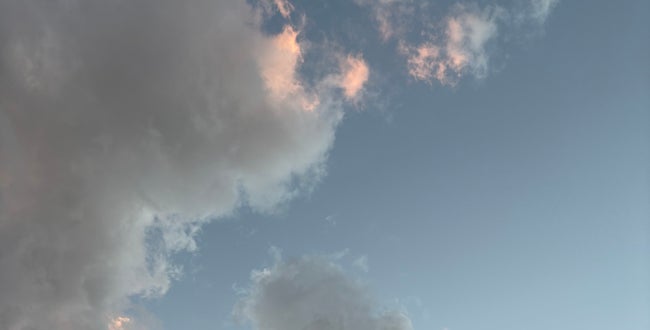 Shop Banner