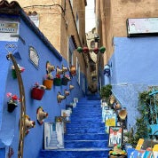 Kam's Gallery Profile