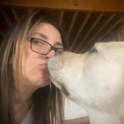 White Willow Profile