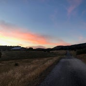 Bristol Estate Profile