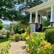 Travels And Treasures Profile