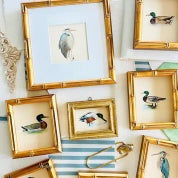 Two Pink Parrots Profile