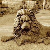 The Lion's Share Profile