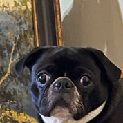 Poppy’s Place Profile