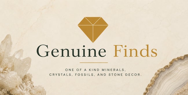 Shop Banner