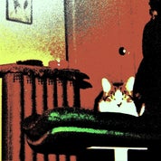 eclectica etc. home Profile