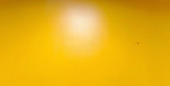 Shop Banner