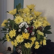 Renee Restores Profile